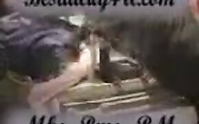 animal fucks girl, fucking with animals