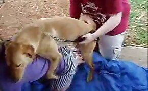 bet.midas - dog bestiality, zoophilia fuck porn