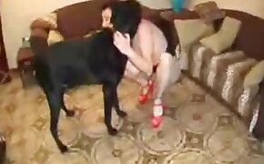 animal fucks girl, fucking with animals