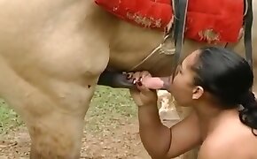 foto de meninas cacheadas no espelho - blowjob, animal fucks girl
