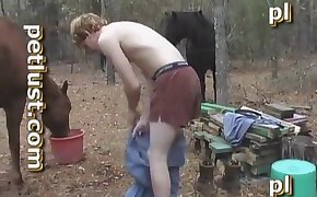 male, beastiality videos