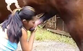 horse sex, fucking with animals
