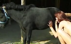 horse sex, sex with animals