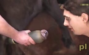 como vender contas de jogos - beastiality videos, sexy scenes