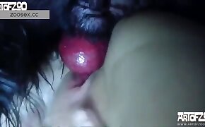 animal fucks girl, sex with animals