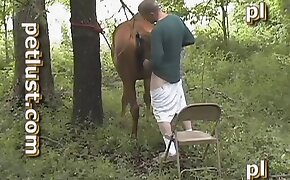guy fucks animal, zoophilia fuck porn